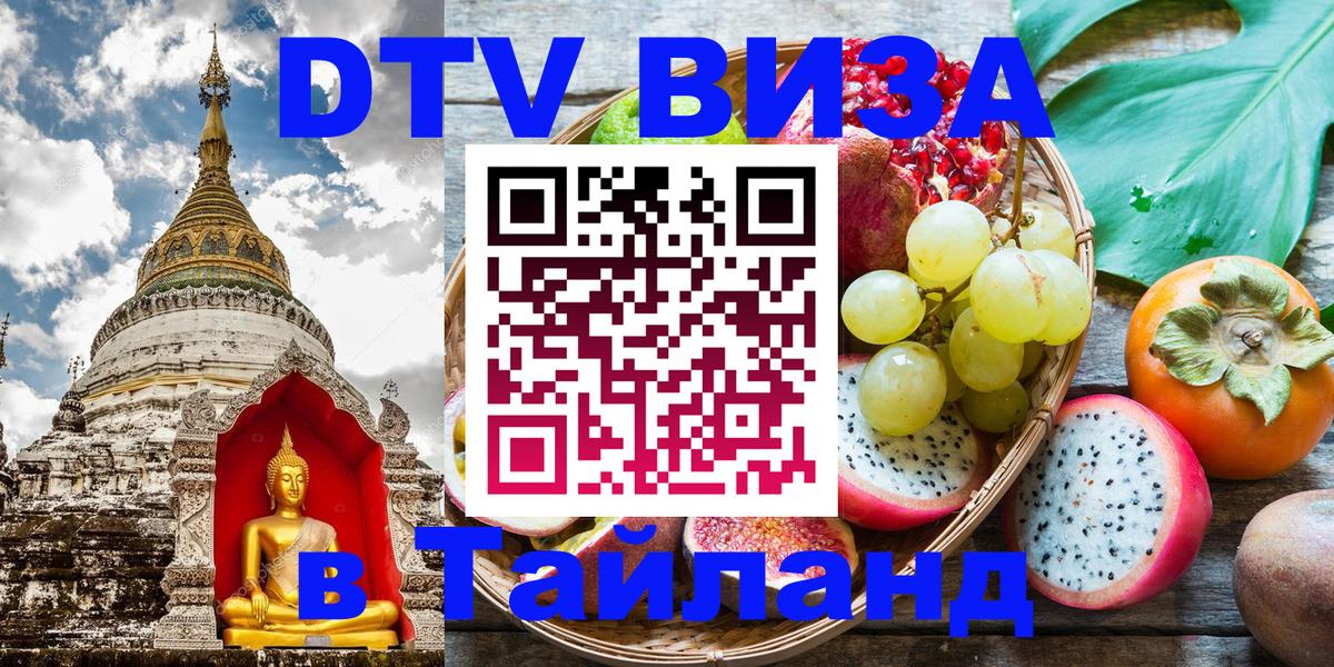 Сколько стоит DTV виза — актуальные цены, оформление даже без документов - 21.11.2025 